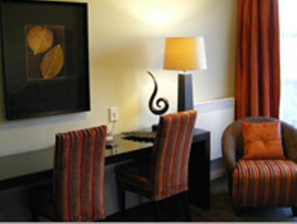 Terra Vive Suites & Apartments Christchurch Extérieur photo